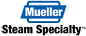 mueller steam
